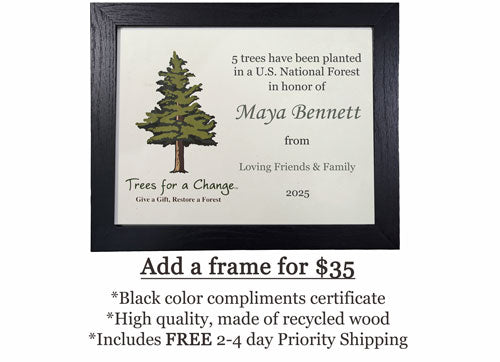 plant a memorial grove in CA framed certificate