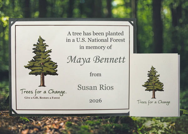 in memory tree planting CA Memorial Tree Gift
