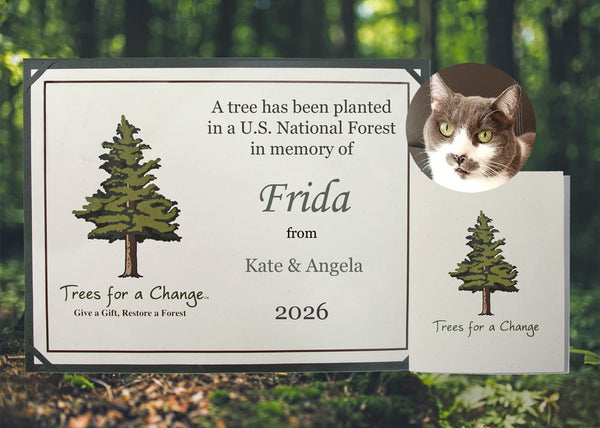 prayer for planting a memorial tree Pet Loss Memorial Tree