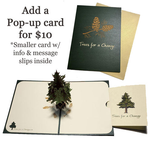 CA memorial grove pop up card