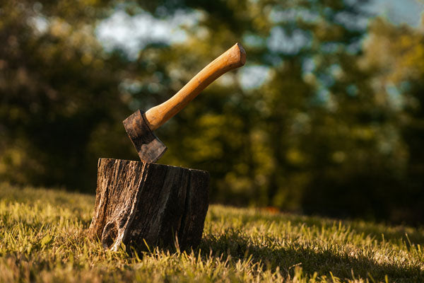 Federal Funding Cuts & 2025 Tree Planting Impact