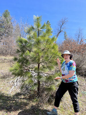 15th year anniversary visit to tree planting locations