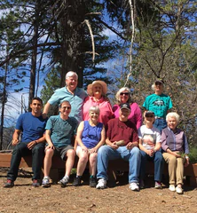 The Story of One Family's Visit to the Trees