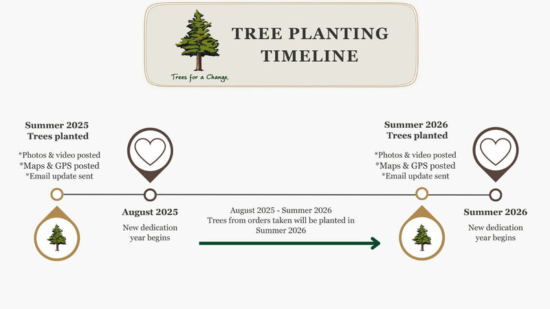 Tree Gift Planting Timeline News