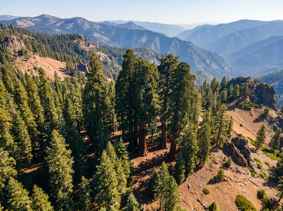 Where to See Giant Sequoias and Redwoods: Complete Location Guide & Map