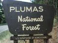 Plumas National Forest Board