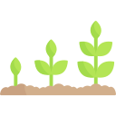 Growth Update