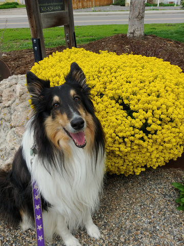 Fee Sherman, our beautiful sweet girl. 