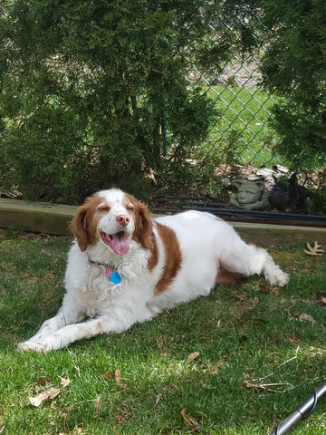 Daisy Myny