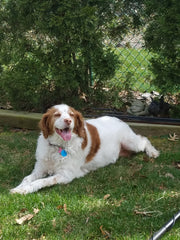 Daisy Myny