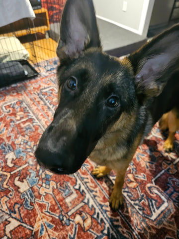 Athena 