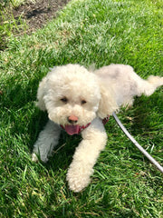 Rosie Santasieri- We love you and miss you 