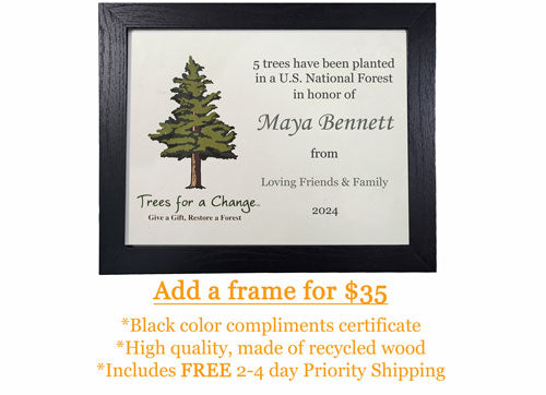 Business Memorial Tree Gift