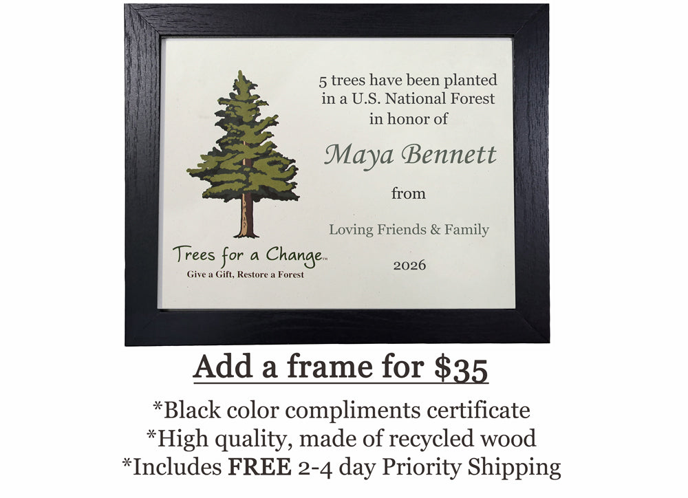 memorial tree planting prayer Memorial Tree Gift