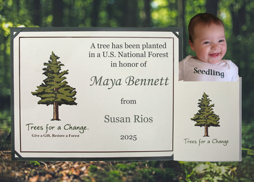 Unique Baby Gifts