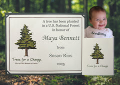 Plaque with tree planting information and a baby's photo, set against a forest background.