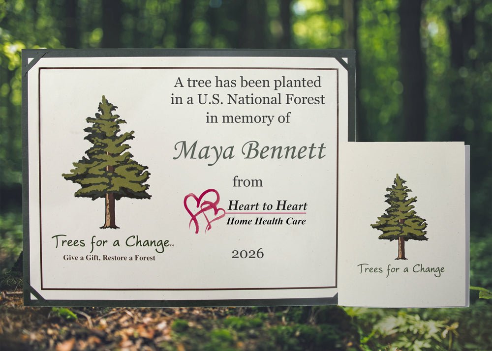 Plant a Tree as a Gift | Unique Eco-Friendly Gift for Nature Lovers