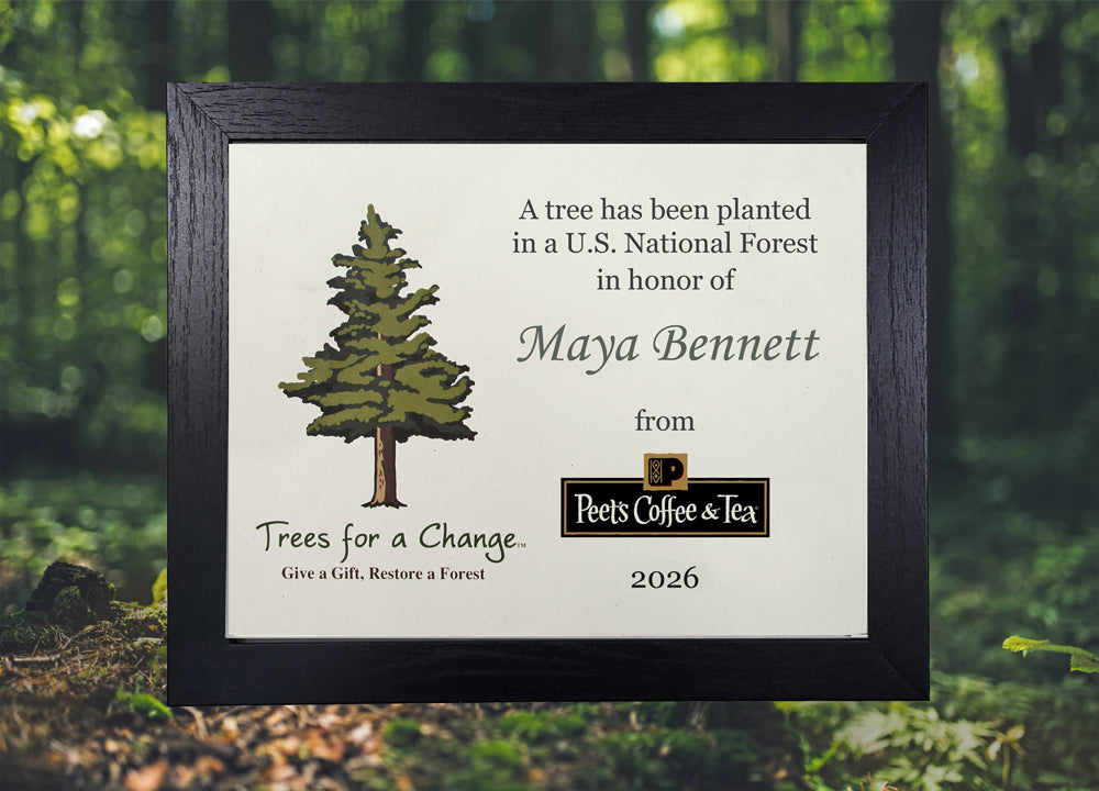 Sustainable Corporate Gifts