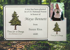 Celebration Tree Gift & Shirt Package