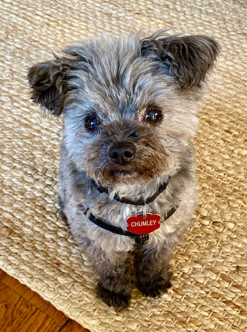 Chumley Preston