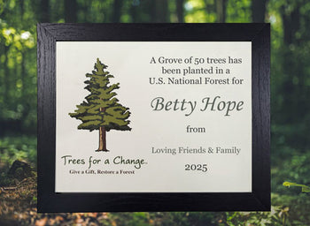 Welcome Baby Grove