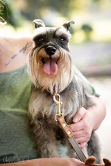 Scarlett Motzkus: You are My Sunshine. Mama misses & loves you. 