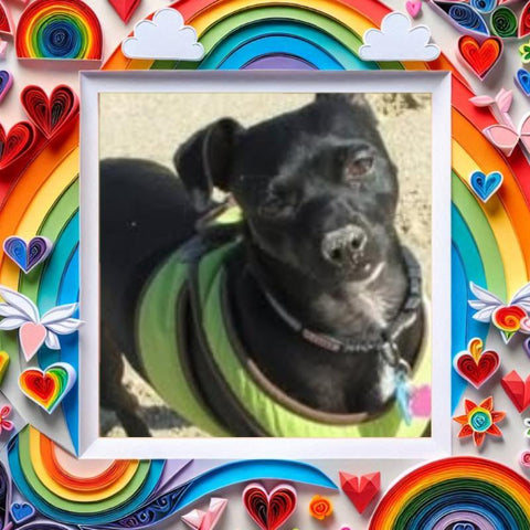 Seven--always in my heart