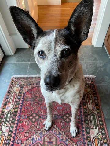 Frida