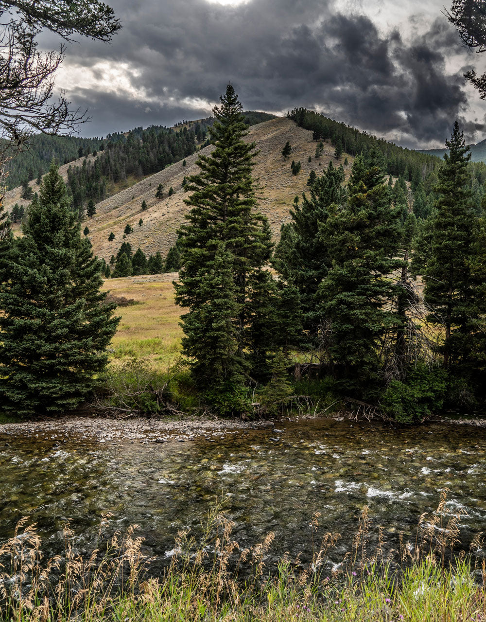 Gallatin National Forest, Southwest Montana