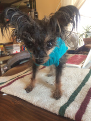 Jada Jubilee Seawell-my Tiny Firecracker 