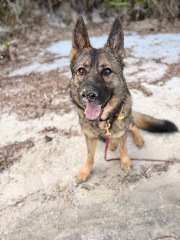 Lilly Girl Colson the sweetest girl, our hearts will never be the same.