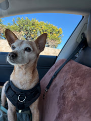 Bandito - My 4ever Angel