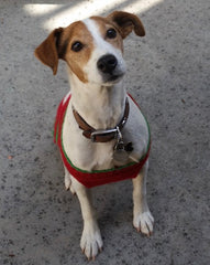 Oliver Caipo - miss you and forever in our hearts