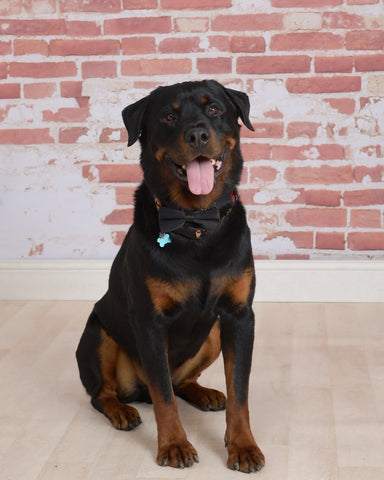 Pizza Augustus Wickman