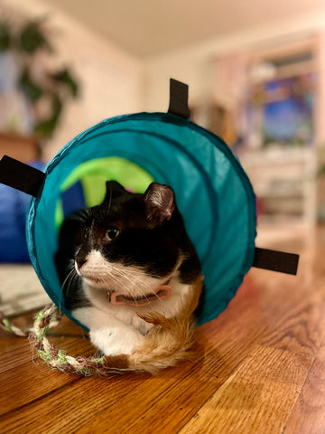 Margarita (“Rita”)