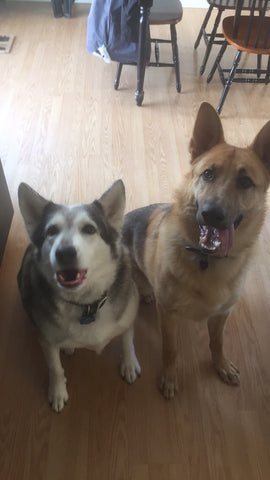 Loki & Chaos