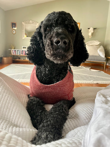 Charlie - we love you buddy!