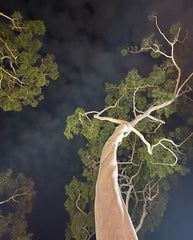 Debby Dodds-Composition winner