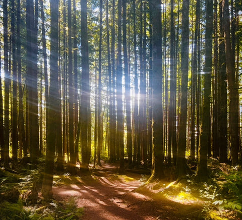 Karen Galdo- Winner, Light & Shadow