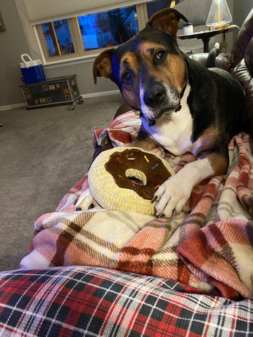 Oso Brown - Love you more than life itself, bud <3