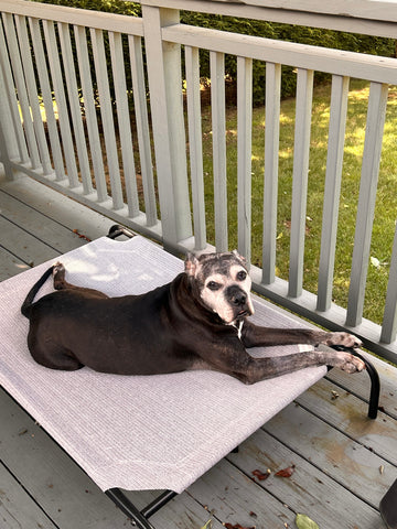 Dakota  Our best friend, always in our hearts.❤️