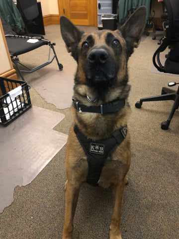 Pax-Police Dog