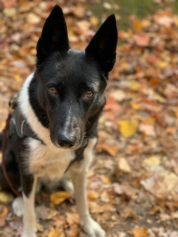 Venus Sabraski - Miss you so much <3
