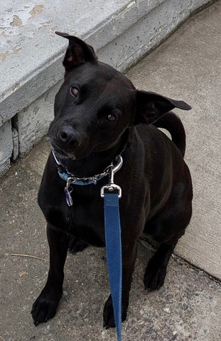 Jax Kee - I'll be waiting for you to visit me in my dreams... I miss you so much