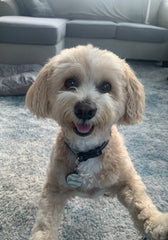 Matisse “Bob Barker” Jones ~ Forever in my heart!