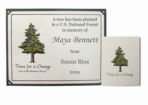 Memorial Tree Gift