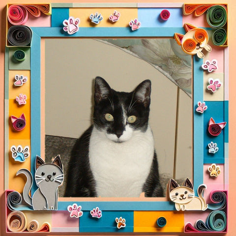 Star --My Beloved Baby Girl
