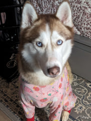 Luna Escareno - Juarez - Our baby girl, your adventures continue. 