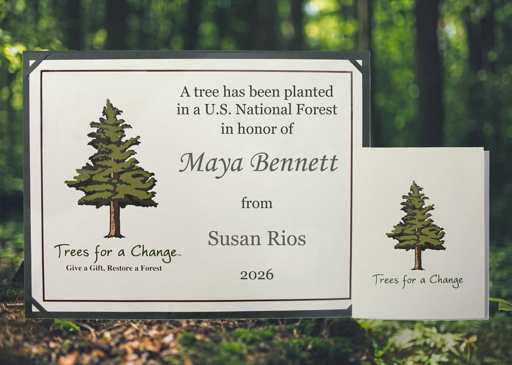 Tree Gifts for All Occasions