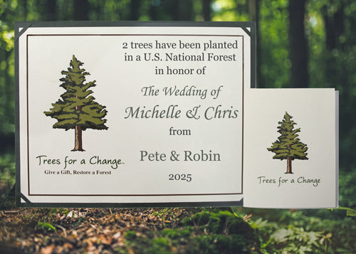 Wedding & Anniversary Gift